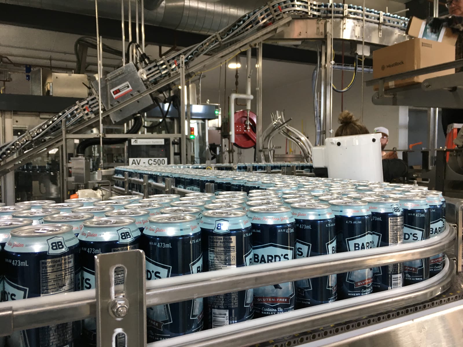 Bard's cans streaming down a production canning line, gluten-free printed on every can